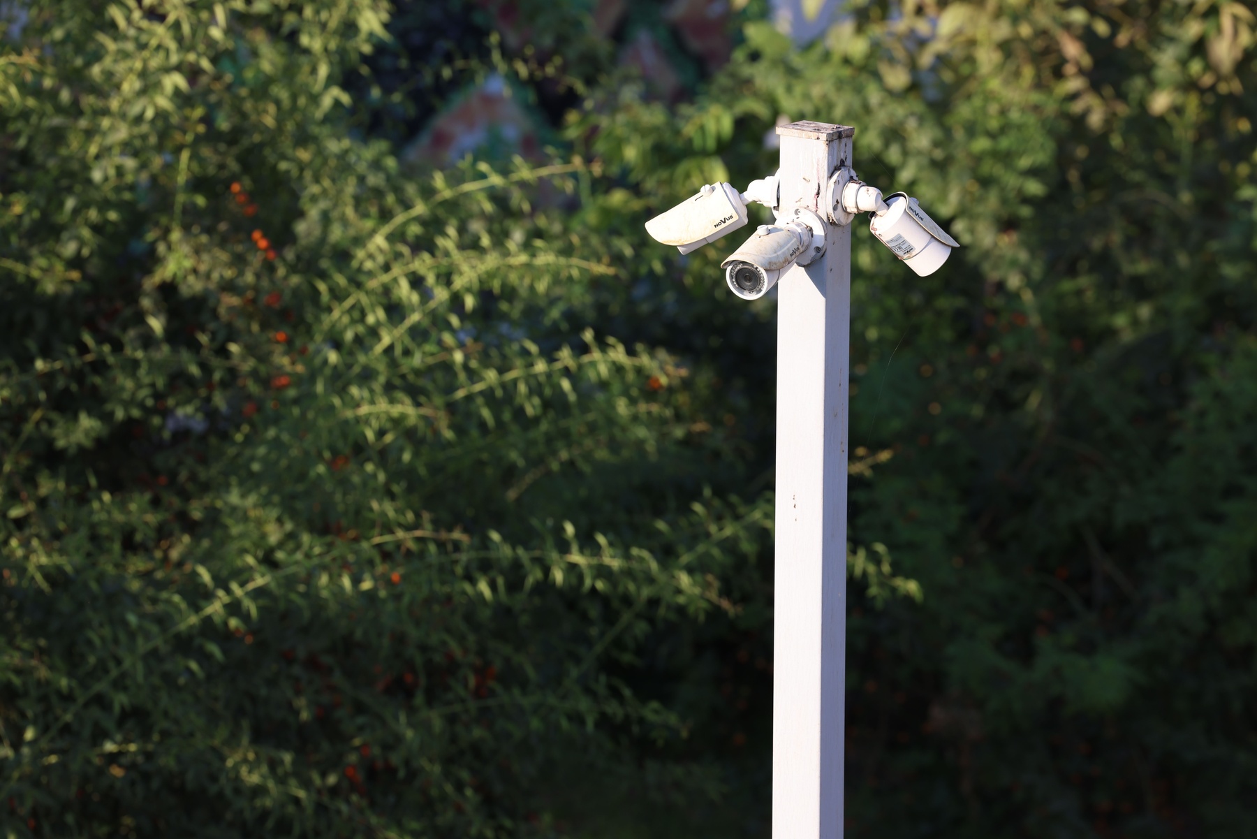 Construction Site Security Cameras